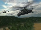 Enemy in sight