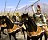 Rome: Total War - Alexander