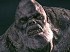 Los DLC de Resident Evil 5 eran parte del juego inicialmente