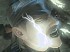 Metal Gear Solid 4: Guns of the Patriots