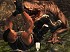 Turok