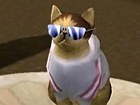 V�deo Los Sims 2 Mascotas: V&iacute;deo oficial 2