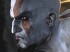 La saga God of War se tomar&aacute; un descanso tras la tercera entrega
