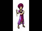 Pantalla Dragon Quest IX