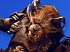 Noticia de Guild Wars 2
