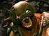 Rage entra en su fase Gold