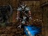 Orcs & Elves