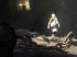 The Last Guardian