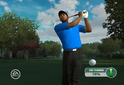Tiger Woods PGA TOUR 09 Wii