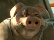 Beyond Good & Evil 2 tambi&eacute;n sigue en marcha