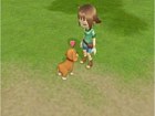 Harvest Moon: El &aacute;rbol de la tranquilidad Wii
