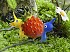 Avances y noticias de Pikmin 3