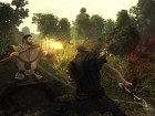 Pantalla Risen