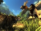 Risen PC