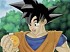 Dragon Ball Z: Infinite World