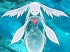 Angels Online