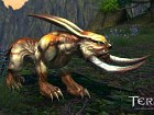 TERA: True Action Combat PC