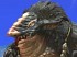 TERA: True Action Combat