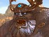 TERA: True Action Combat