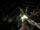 Pantalla Aliens vs Predator