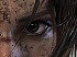 Tomb Raider debuta en primer lugar en las ventas de software de Reino Unido
