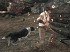 Fable 3 - Gameplay: Aprendiendo