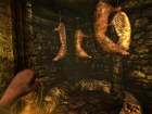 Pantalla Amnesia: The Dark Descent