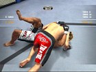 Pantalla UFC 2010 Undisputed