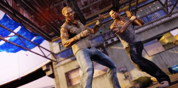 Sleeping Dogs