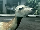 Trailer de Lanzamiento