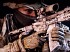 Electronic Arts descart&oacute; como consejero para Medal of Honor: Warfighter al hombre que dispar&oacute; a Bin Laden