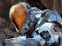 Noticia de Halo 4