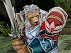 V�deo Heroes of Ruin: Customization