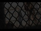 Pantalla Silent Hill Collection HD