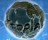 Topia: Age of Creation