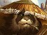 Mist of Pandaria y StarCraft: Heart of the Swarm confirman su presencia en la GamesCom