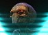 XCOM: Enemy Unknown suaviza el nivel de dificultad F&aacute;cil con su &uacute;ltima actualizaci&oacute;n