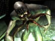 Descargar STALKER: Shadow of Chernobyl
