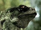 V�deo Crysis 3: CryEngine3 Tech Trailer