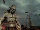 Skyrim: Dawnguard