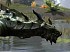 The Elder Scrolls Online - The Wamasu