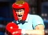 Sports Champions 2
