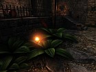 Rise of the Triad PC
