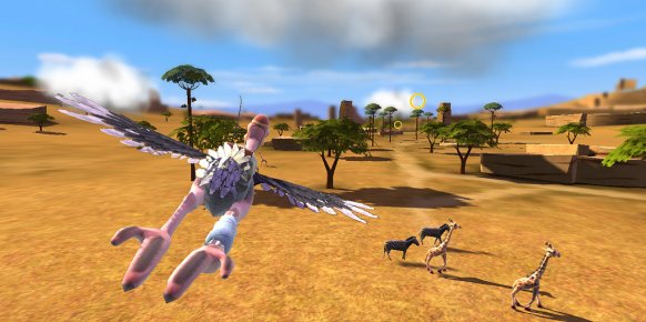 Dare to Fly Dare to Fly