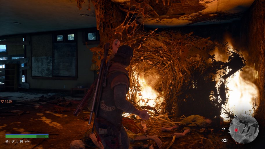 Days Gone