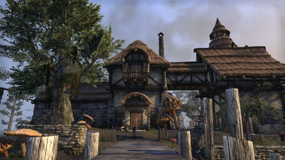 The Elder Scrolls Online Morrowind