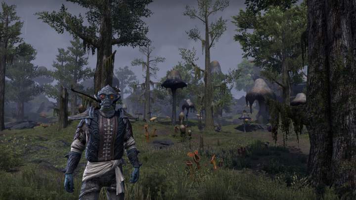 The Elder Scrolls Online: Morrowind