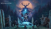 The Elder Scrolls Online: Wolfhunter