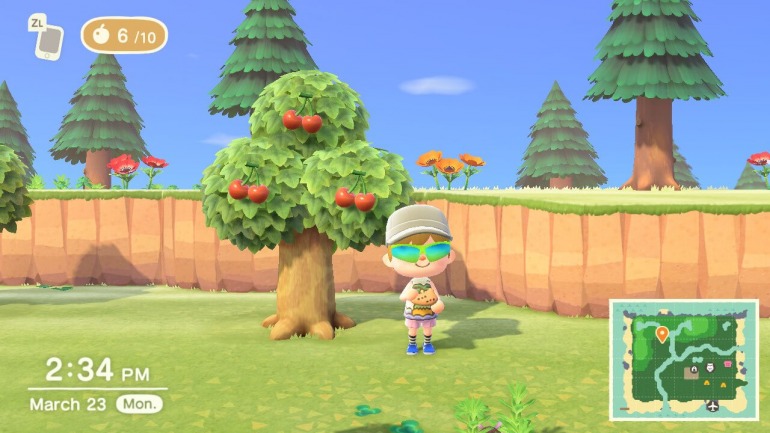 Animal Crossing: New Horizons Animal Crossing: New Horizons