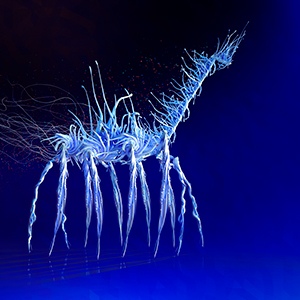 Paper Beast Análisis